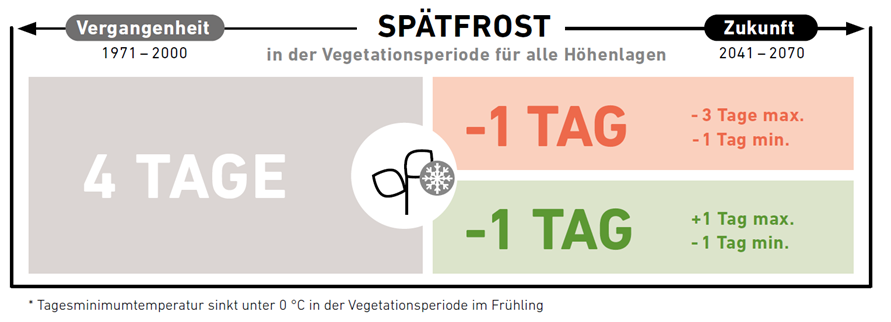 Bild4