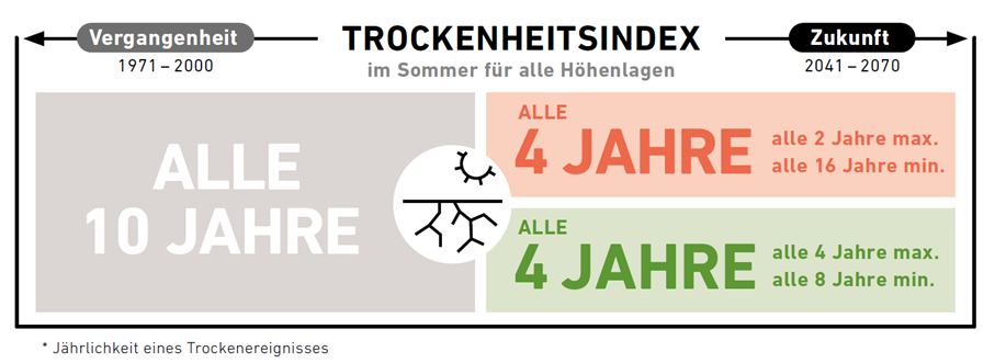 Bild5