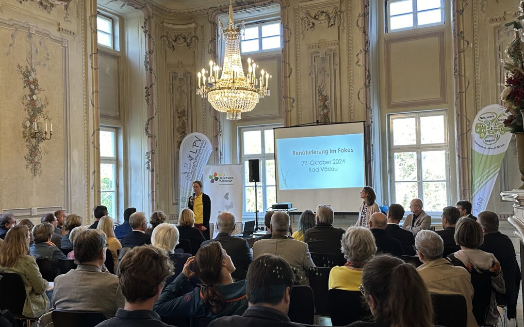Gemeinde-Gipfeltreffen „Renaturierung im Fokus“