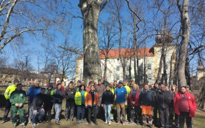 Baumpflegetag in Kottingbrunn