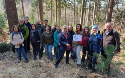 Klimaresiliente Wälder – Exkursion zur Anpassung an den Klimawandel