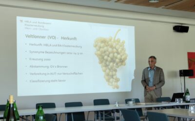 Weinbautag des Weinforums- Fokus von Klimaschutz und Anpassung