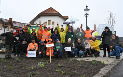 Praxistag stärkt klimafitte und biodiversitätsfördernde Grünraumpflege in der KLAR! Thermenlinie