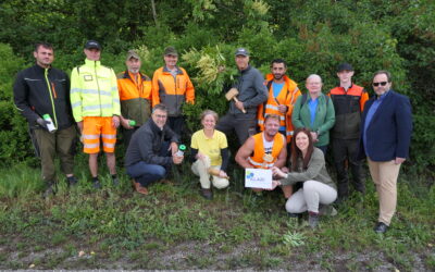 Gemeinsam gegen den Götterbaum: Pilotprojekt in Bad Vöslau gestartet